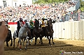 VBS_1040 - Palio di Asti 2024